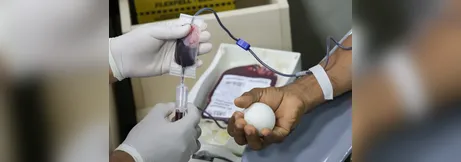 Imagem ilustrativa da imagem Hemopa garante 701 bolsas de sangue e beneficiará mais de 2,8 mil pessoas