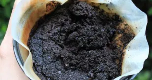 Imagem ilustrativa da imagem Não jogue fora a borra de café: ela pode ser útil na sua casa