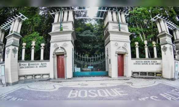 Imagem ilustrativa da imagem Bosque e Parque Gunnar Vingren fecharão durante o Carnaval