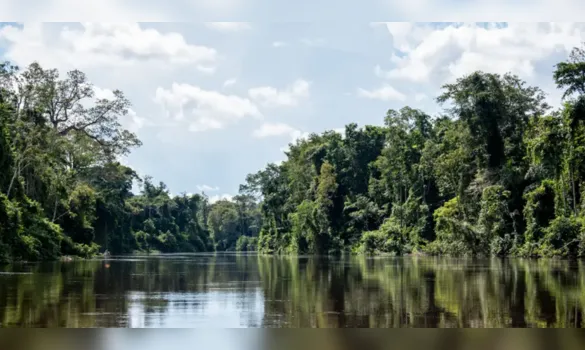 Imagem ilustrativa da imagem Governadora Hana sanciona Dia Estadual das Unidades de Conservação