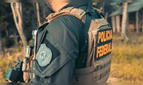 Imagem ilustrativa da imagem PF prende suspeito de participar de homicídio em terra indígena no Pará