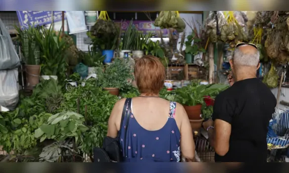 Imagem ilustrativa da imagem <span style="white-space: initial;">Não é só em Belém! Banhos de ervas aumentam procura no RJ</span>