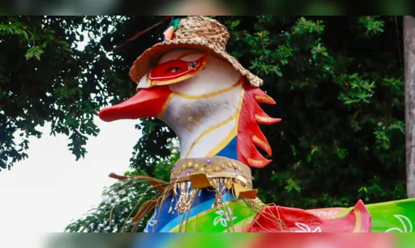Imagem ilustrativa da imagem Bloco Pato de Máscara celebra centenário da Vila da Barca em Belém