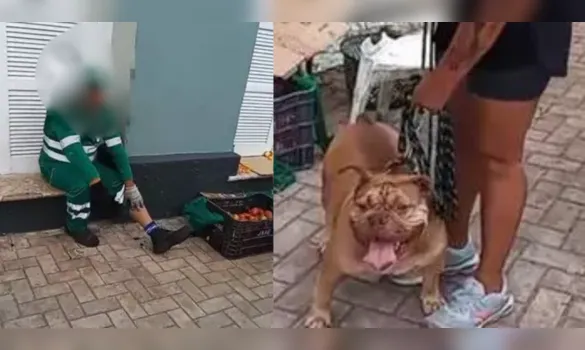 Imagem ilustrativa da imagem Pitbull ataca e morde gari no Ver-o-Peso, em Belém