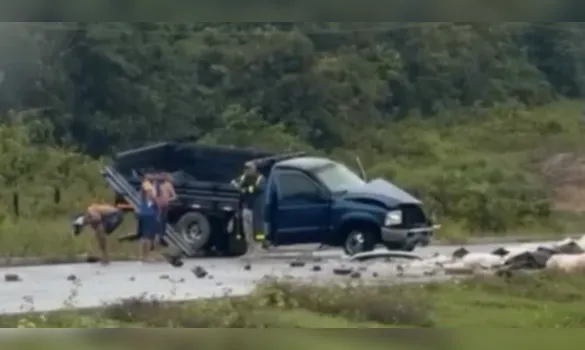Imagem ilustrativa da imagem Caminhonete sofre colisão na BR-316, em Santa Maria do Pará