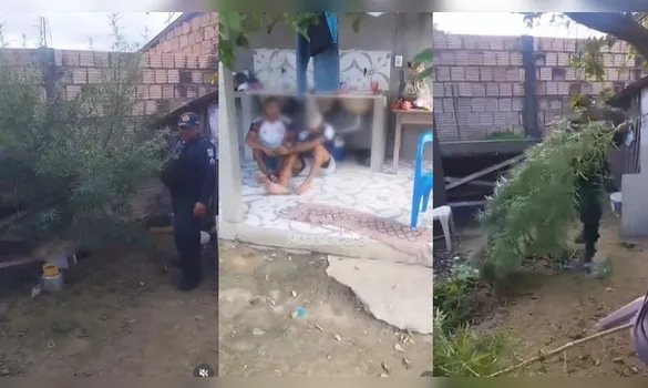 Imagem ilustrativa da imagem Vídeo mostra PMs flagrando plantação de maconha em residência