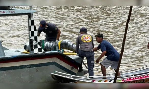 Imagem ilustrativa da imagem Jovem é achado morto em Afuá após ser suspeito de matar o pai