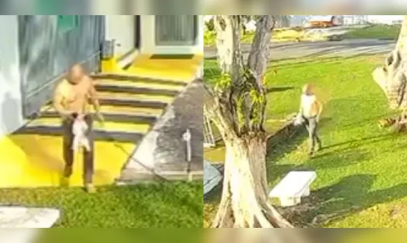 Imagem ilustrativa da imagem VÍDEO: câmeras de segurança flagram tutor agredindo cachorro em Belém