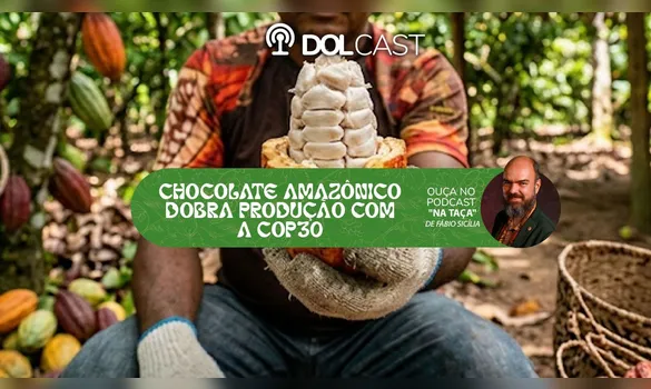 Imagem ilustrativa da imagem Chocolate amazônico dobra produção com a COP30