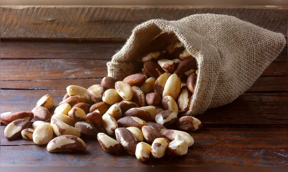 Imagem ilustrativa da imagem Castanhas: aliadas ou vilãs do emagrecimento? Saiba como consumir