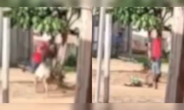 Imagem ilustrativa da imagem Vídeo: homem agride companheira na frente de crianças em Óbidos