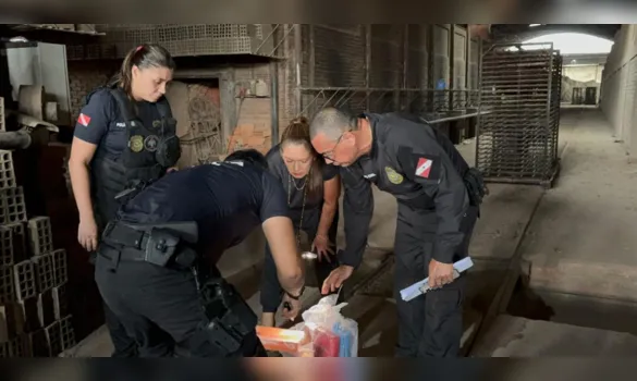 Imagem ilustrativa da imagem Mais de 1 tonelada de drogas é incinerada em Castanhal