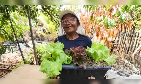 Imagem ilustrativa da imagem Mulheres lideram políticas de assistência social no Pará