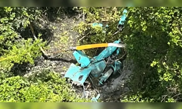 Imagem ilustrativa da imagem Três pessoas morrem em que queda de helicóptero em área de mata no Rio