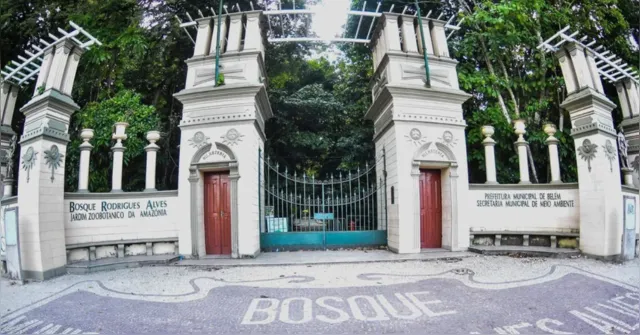 Imagem ilustrativa da notícia Bosque e Parque Gunnar Vingren fecharão durante o Carnaval