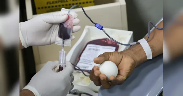 Imagem ilustrativa da notícia Hemopa garante 701 bolsas de sangue e beneficiará mais de 2,8 mil pessoas