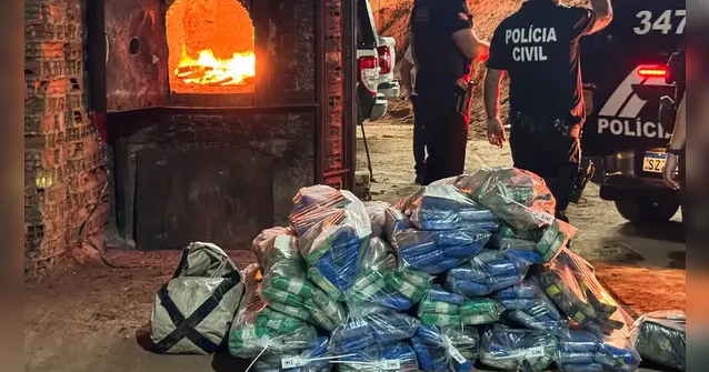 Imagem ilustrativa da notícia Polícia incinera mais de uma tonelada de drogas no Pará