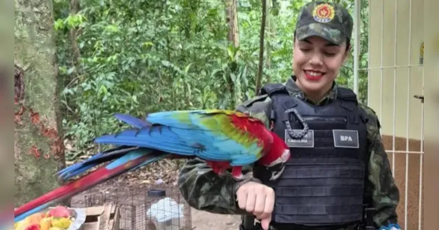 Imagem ilustrativa da notícia Encontrou animais silvestres em áreas urbanas? Saiba como agir!