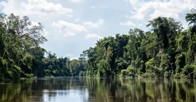 Imagem ilustrativa da notícia Governadora Hana sanciona Dia Estadual das Unidades de Conservação