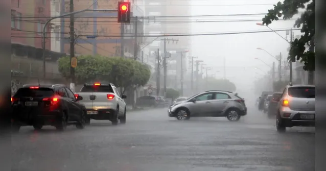 Imagem ilustrativa da notícia Prefeitura de Belém anuncia força-tarefa para combater alagamentos