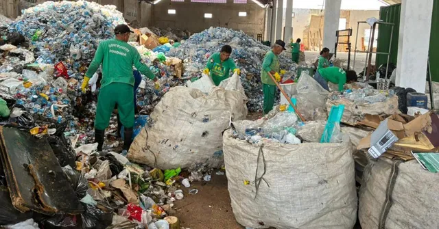Imagem ilustrativa da notícia Mapa interativo indica pontos de entrega de recicláveis em Belém