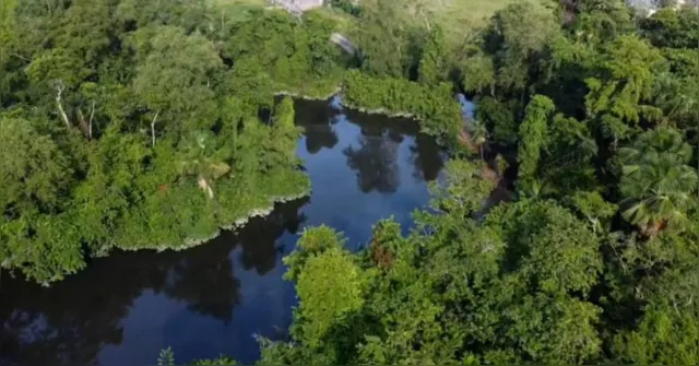 Imagem ilustrativa da notícia Estado autoriza obras de pontes e reforça mobilidade na Região do Caeté