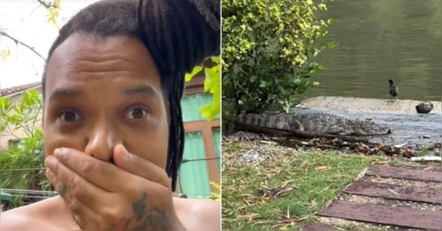 Imagem ilustrativa da notícia Cantor encontra jacaré no quintal de casa e vive momentos de terror