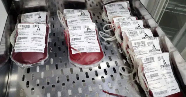 Imagem ilustrativa da notícia Doações de sangue salvam vidas de crianças e adultos na Santa Casa