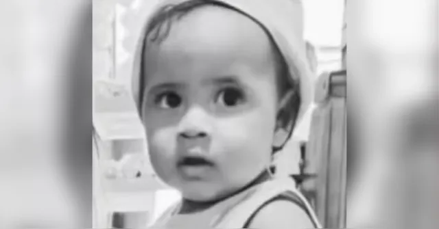 Imagem ilustrativa da notícia Criança de 2 anos morre após ataque de abelhas em São Miguel do Guamá