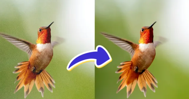 Imagem ilustrativa da notícia Fotos ruins? Conheça 4 ferramentas gratuitas de IA para remover ruído de imagem