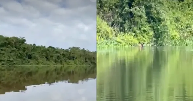 Imagem ilustrativa da notícia Vídeo mostra mulher gritando no Rio Negro e mobiliza atenção em Manaus