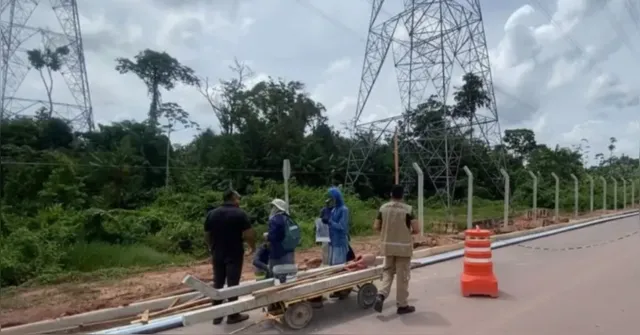 Imagem ilustrativa da notícia Semas fiscaliza empresa de energia em refúgio de vida silvestre, em Marituba