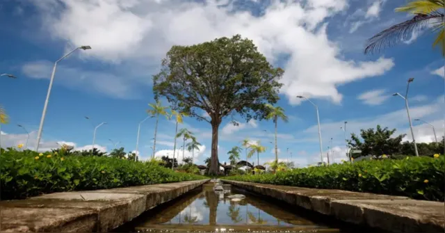 Imagem ilustrativa da notícia Pará vai ganhar nova escola com ênfase em educação ambiental