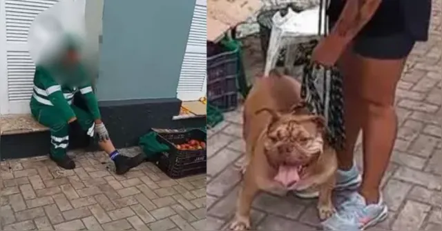 Imagem ilustrativa da notícia Pitbull ataca e morde gari no Ver-o-Peso, em Belém