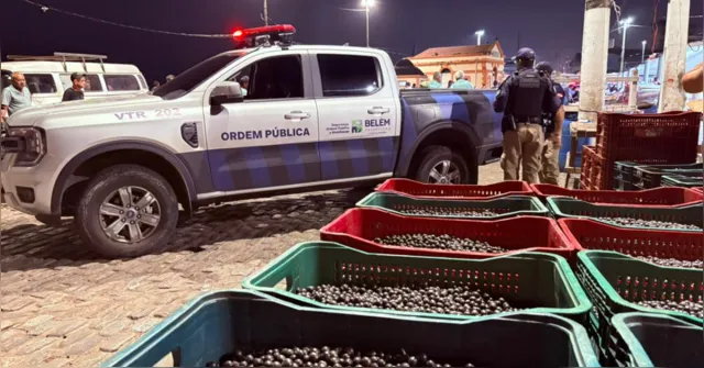 Imagem ilustrativa da notícia Fiscalização apura descarte irregular de açaí no Ver-o-Peso