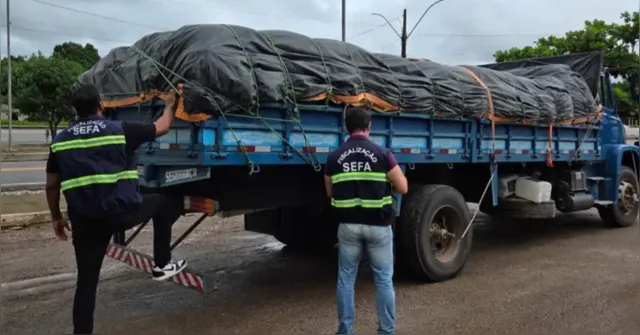 Imagem ilustrativa da notícia Sefa apreende 9 toneladas de farinha de mandioca no Pará