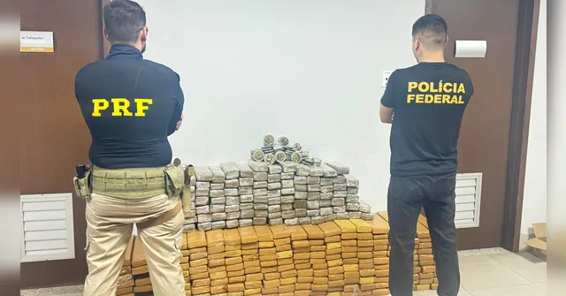 Imagem ilustrativa da notícia VÍDEO: PF e PRF apreendem mais de 300 kg de drogas no Pará