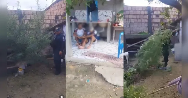 Imagem ilustrativa da notícia Vídeo mostra PMs flagrando plantação de maconha em residência