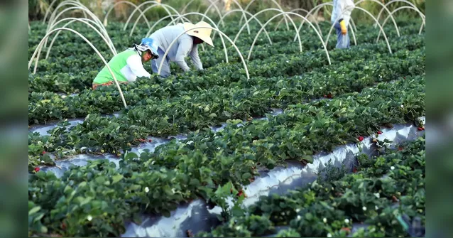 Imagem ilustrativa da notícia Concurso da ANATER encerra inscrições nesta segunda-feira (5)