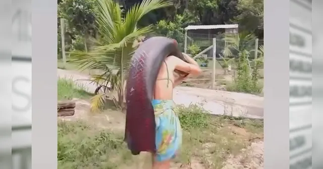 Imagem ilustrativa da notícia Mulher se surpreende ao pescar pirarucu gigante em lagoa