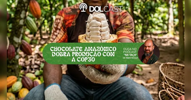 Imagem ilustrativa da notícia Chocolate amazônico dobra produção com a COP30