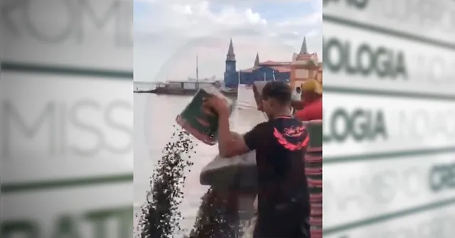 Imagem ilustrativa da notícia Preço alto e vendas em baixa! Vendedores jogam fora açai no rio, em Belém