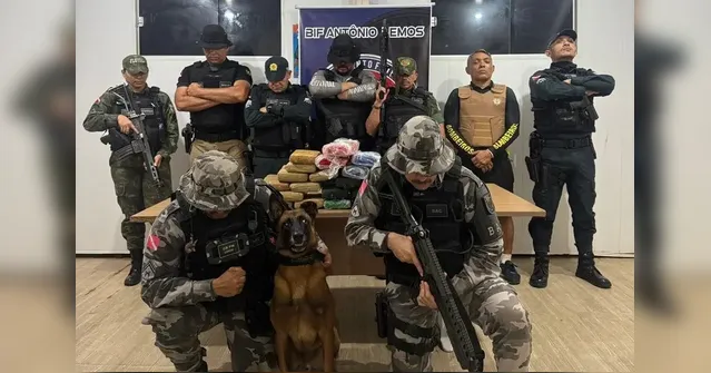 Imagem ilustrativa da notícia Polícia apreende 26 kg de drogas com ajuda de cão farejador