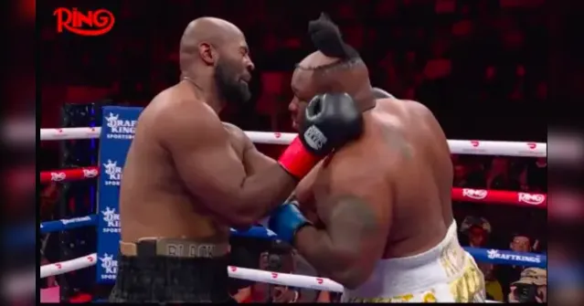 Imagem ilustrativa da notícia VÍDEO: Peruca 'voa' após boxeador levar um soco em luta nos EUA