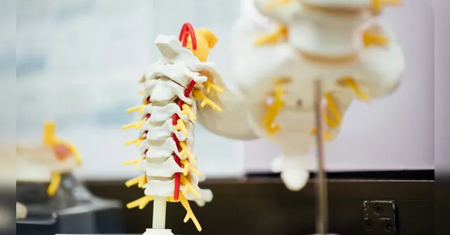 Imagem ilustrativa da notícia Polilaminina: a substância que traz esperança contra a paralisia 