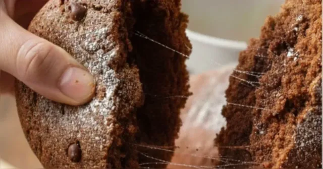 Imagem ilustrativa da notícia “Doença do fio” em bolos: o que é e os perigos de intoxicação grave