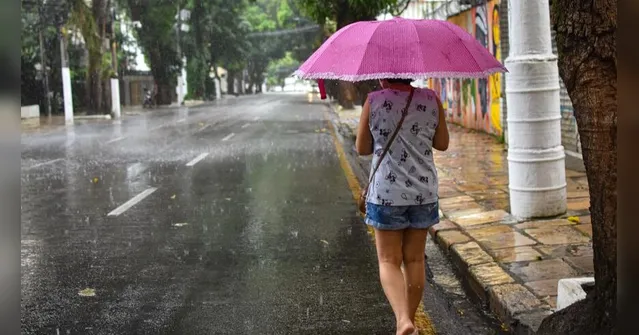 Imagem ilustrativa da notícia Belém: chuva forte e maré alta nesta quinta, 5