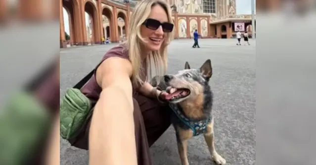 Imagem ilustrativa da notícia Mulher morre em acidente e cachorro fica ao lado até resgate