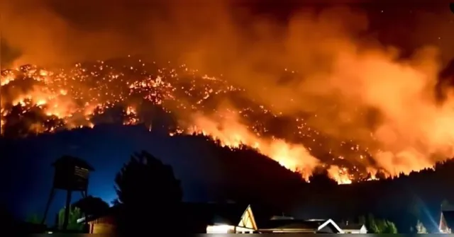 Imagem ilustrativa da notícia Incêndio florestal de grandes proporções atinge a Patagônia 
