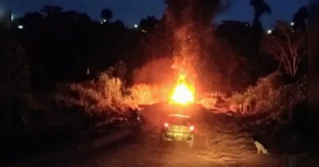 Imagem ilustrativa da notícia Justiça julga 33 suspeitos por esquema de madeira ilegal no PA